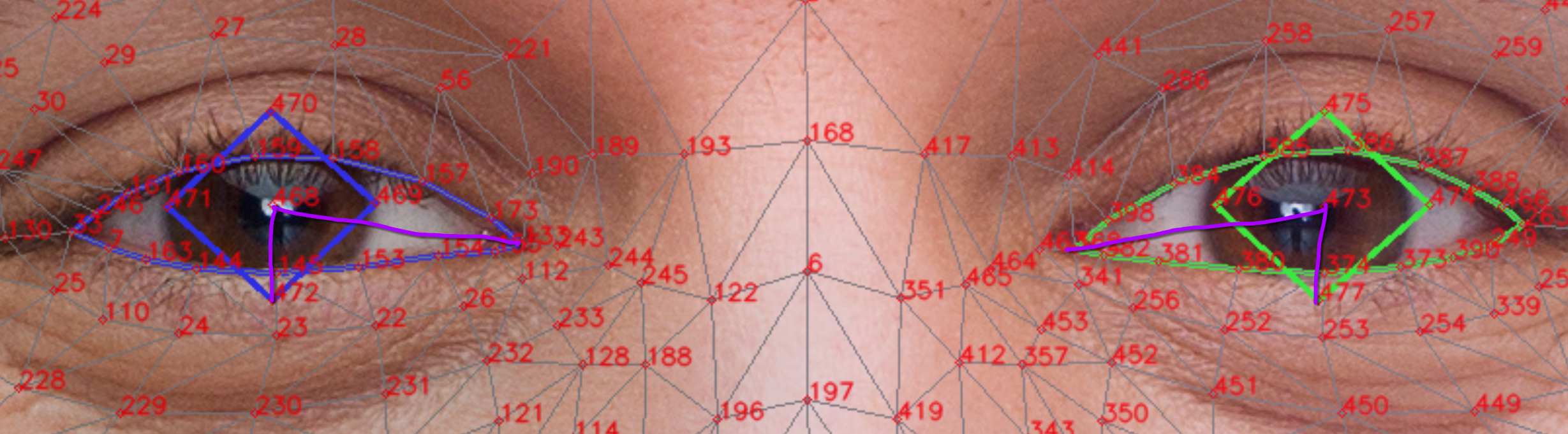 Gaze geometry and landmark-based tracking approach